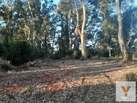 Terreno en Venta en Punta Indio, USD 50.000