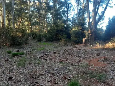 Terreno en Venta de 4324,0 m2