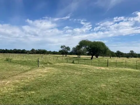 VENTA DE HECTAREAS MIXTAS CON CASA EN FEDERAL E. RIOS