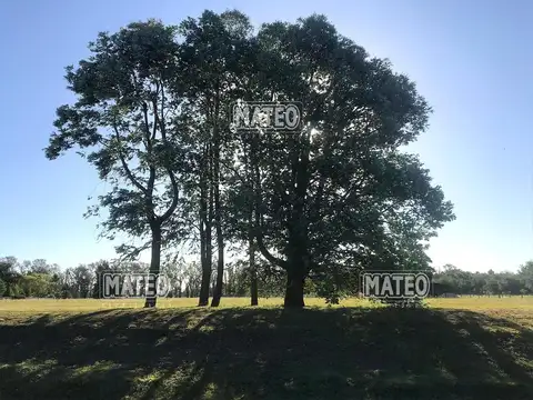 Terreno en Venta de 10000,0 m2