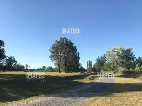 Terreno en Venta de 10000,0 m2