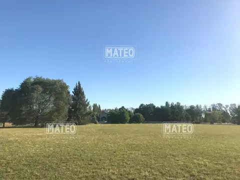 Terreno en Venta de 10000,0 m2