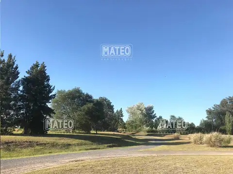EXCELENTE UBICACION