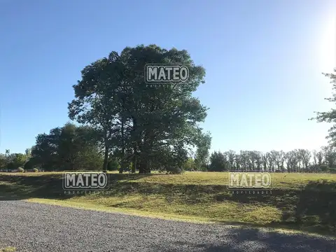 Terreno en Venta de 10000,0 m2