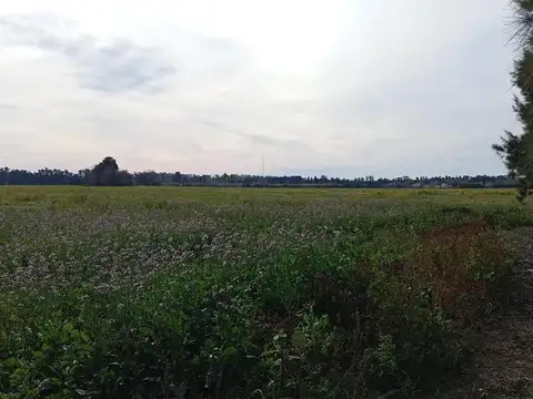 Excelente Campo a la venta.