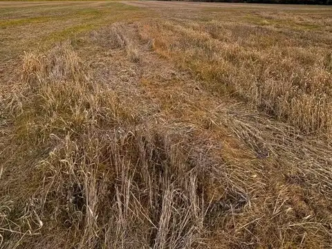 Excelente Campo a la venta.