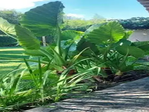 Casa en Venta 30 años