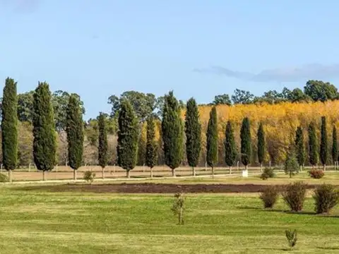 Terreno en Venta de 700,0 m2
