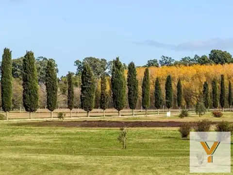 Terreno en Venta de 700,0 m2
