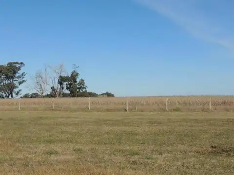 Terreno en Venta de 700,0 m2