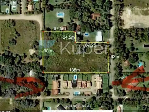 Las Caléndulas y Las Orquídeas 100