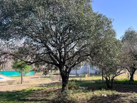 Terreno en Venta de 956,0 m2