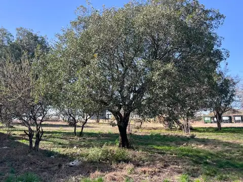VENTA TERRENO 956 M2  BARRIO KEOKEN TANTI