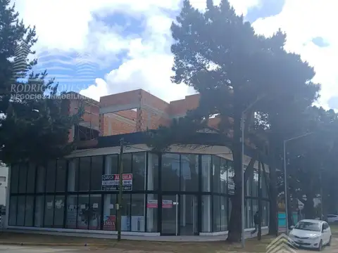 DEPARTAMENTO DE E AMBIENTES  A ESTRENAR