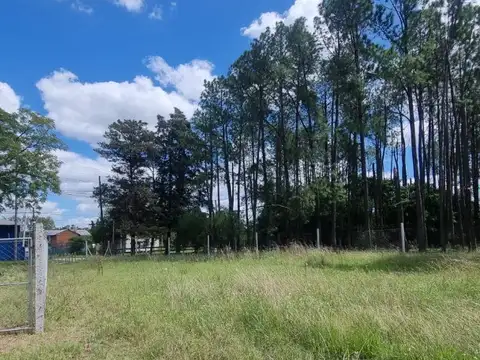 Leandro N. Alem 1000