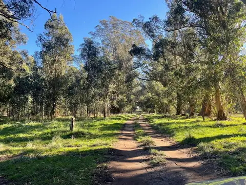 Terreno en Venta en Miramar, Partido de General Alvarado