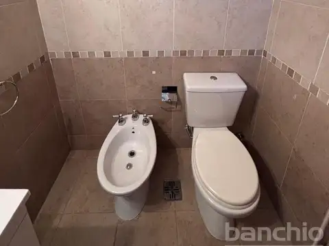 Departamento en Alquiler al Sur