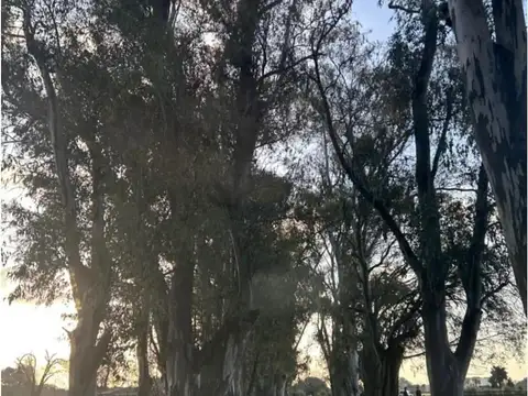 Terreno en Venta en Barrio El Campo - Fincas Exclusivas Cardales, USD 42.000