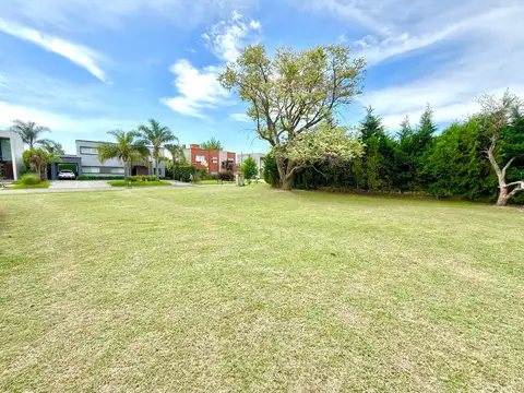 Terreno en Venta de 600,0 m2