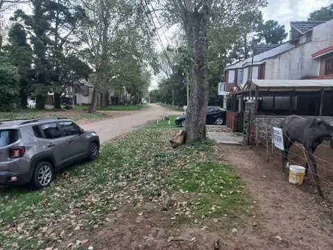 Terreno en Venta de 260,0 m2