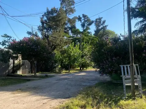 Carriego