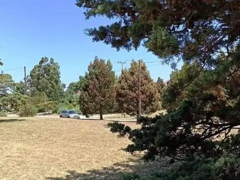 Avenida de Buen Orden