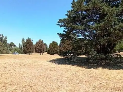 3 Excelentes Lotes Sobre Asfalto En Las Lomas