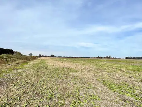 VENTA CAMPO AGRICOLA SOBRE RUTA 188 GENERAL ROJO
