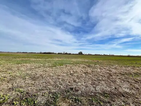 VENTA CAMPO AGRICOLA SOBRE RUTA 188 GENERAL ROJO