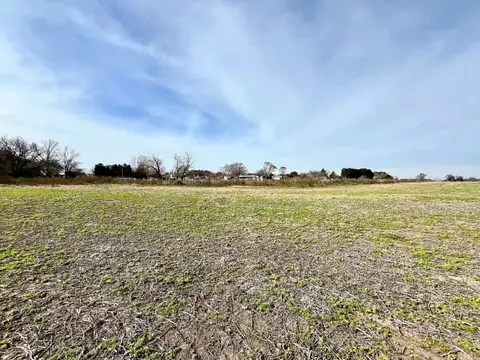 VENTA CAMPO AGRICOLA SOBRE RUTA 188 GENERAL ROJO