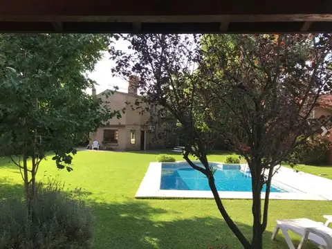 DE LA DOMA 100