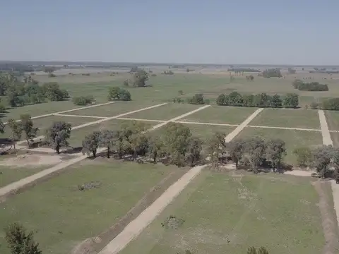 Bomberos Voluntarios