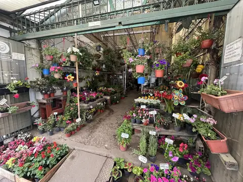 Terreno en Venta en Wilde, USD 1.000.000