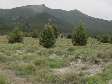 Terreno en Venta de 1232,0 m2