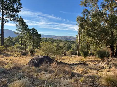 Terreno de 9212 m2 en San Clemente con vista