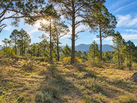 Terreno en Venta de 9212,0 m2