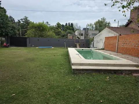 Jacaranda 1000