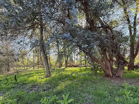 Terreno en Venta, FOT 0,5