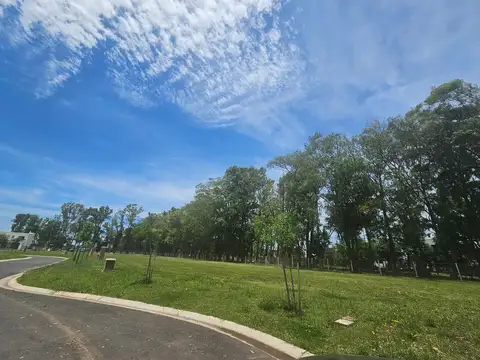 Terreno Lote  en Venta en Santa Sofía, Pilar del Este, Pilar