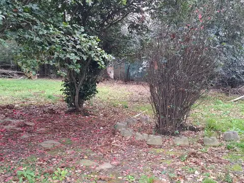 Terreno en Venta 32  mts Fondo