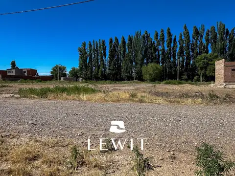 Terreno en Venta 31  mts Fondo