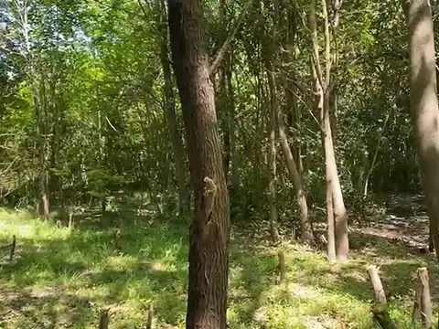 Salta y San Cayetano