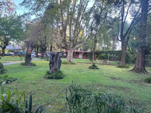Irusta  al 3300