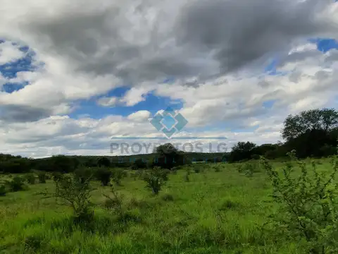 VENTA-3 HECTÁREAS-LAS VERTIENTES DE LA GRANJA