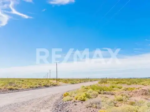 Terreno en Venta de 55310,0 m2