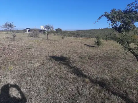 Terreno en Venta 50  mts Frente