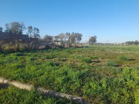 Terreno en Venta 40  mts Fondo