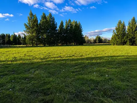 Terreno en Venta de 1100,0 m2