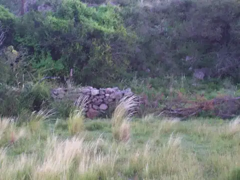 21 hectáreas Valle de Ongamira