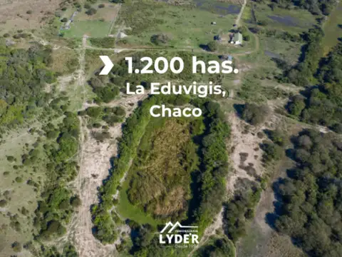 Campo en venta de 1200ha ubicado en La Eduvigis